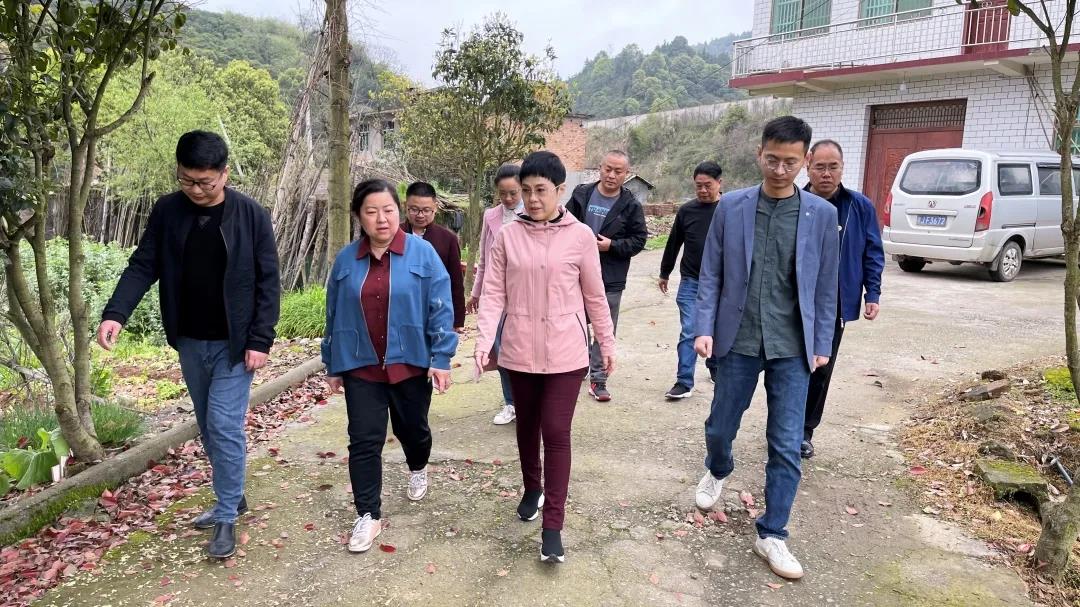 蔡秘书长率队进入江西上栗县调研考察