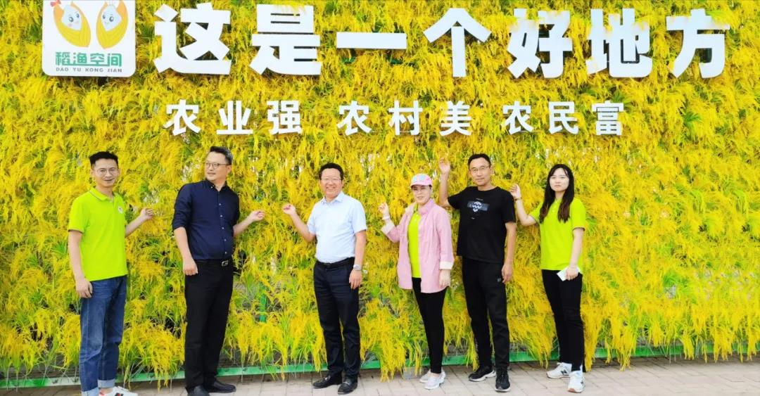心系家国，大爱无疆 | 蔡秘书长一行考察宁夏贺兰县稻渔空间